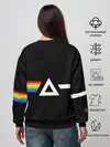 Женский свитшот / Pink Floyd