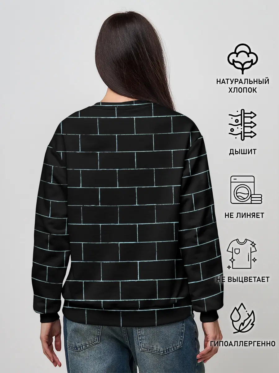 Женский свитшот / Pink Floyd