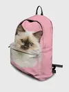 Рюкзак джинсовый / Пушистый кот