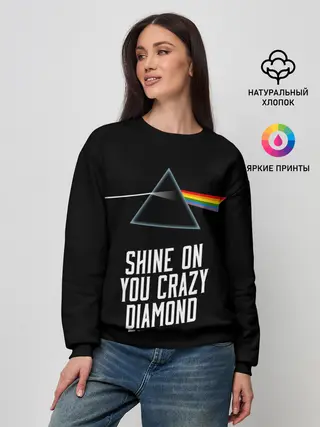 Женский свитшот / PINK FLOYD