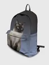 Рюкзак джинсовый / сиамская милая кошечка