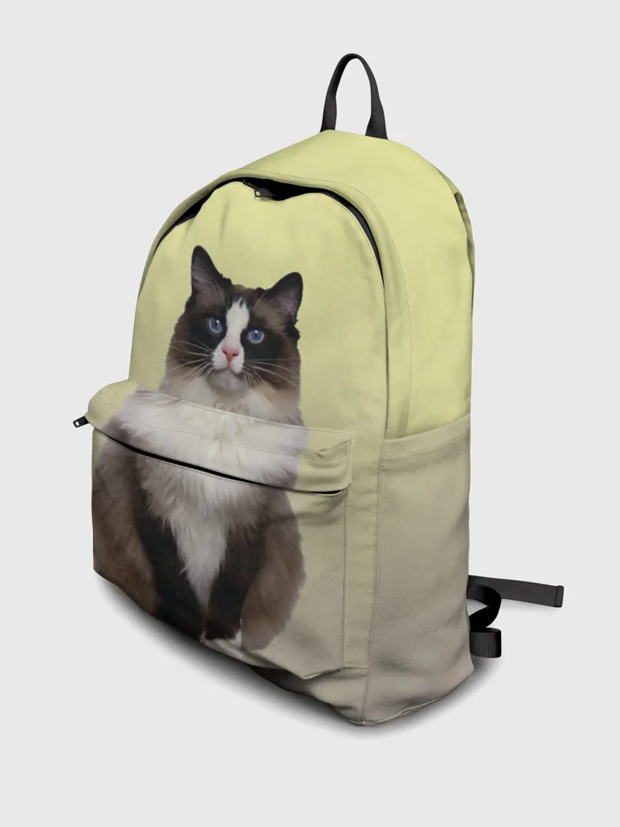 Рюкзак джинсовый / персидская пушистая кошка