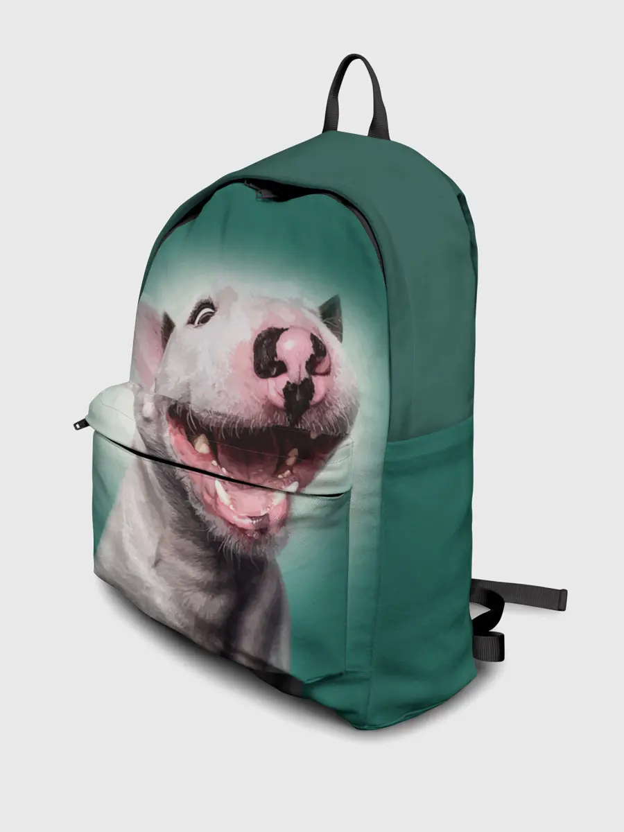 Рюкзак джинсовый / Bully