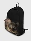 Рюкзак джинсовый / Disintegrating Cat