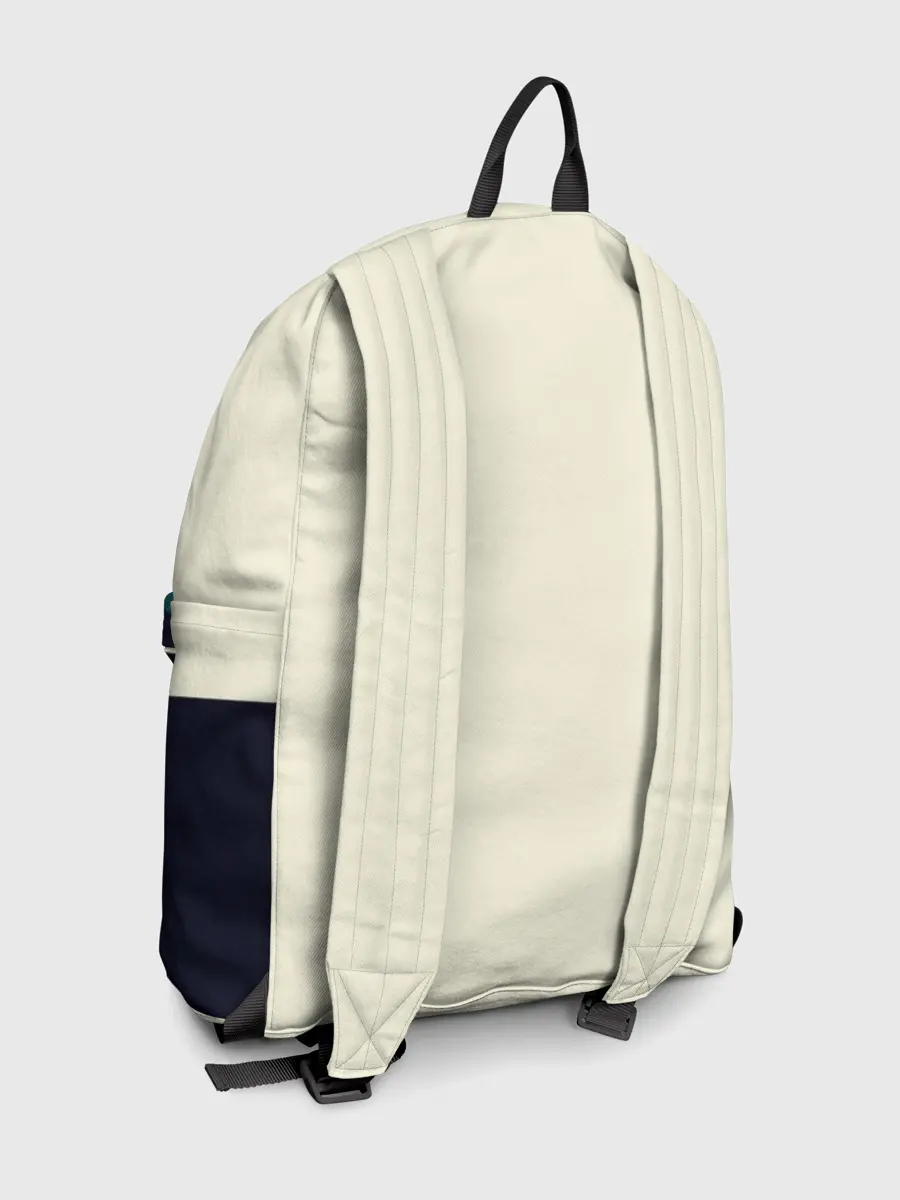 Рюкзак джинсовый / Тоторо охраняет лес