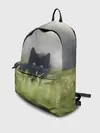 Рюкзак джинсовый / черный кот на лугу
