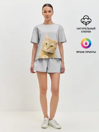 Женская пижама с шортами / Рыжий котик