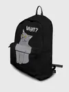 Рюкзак джинсовый / What cat