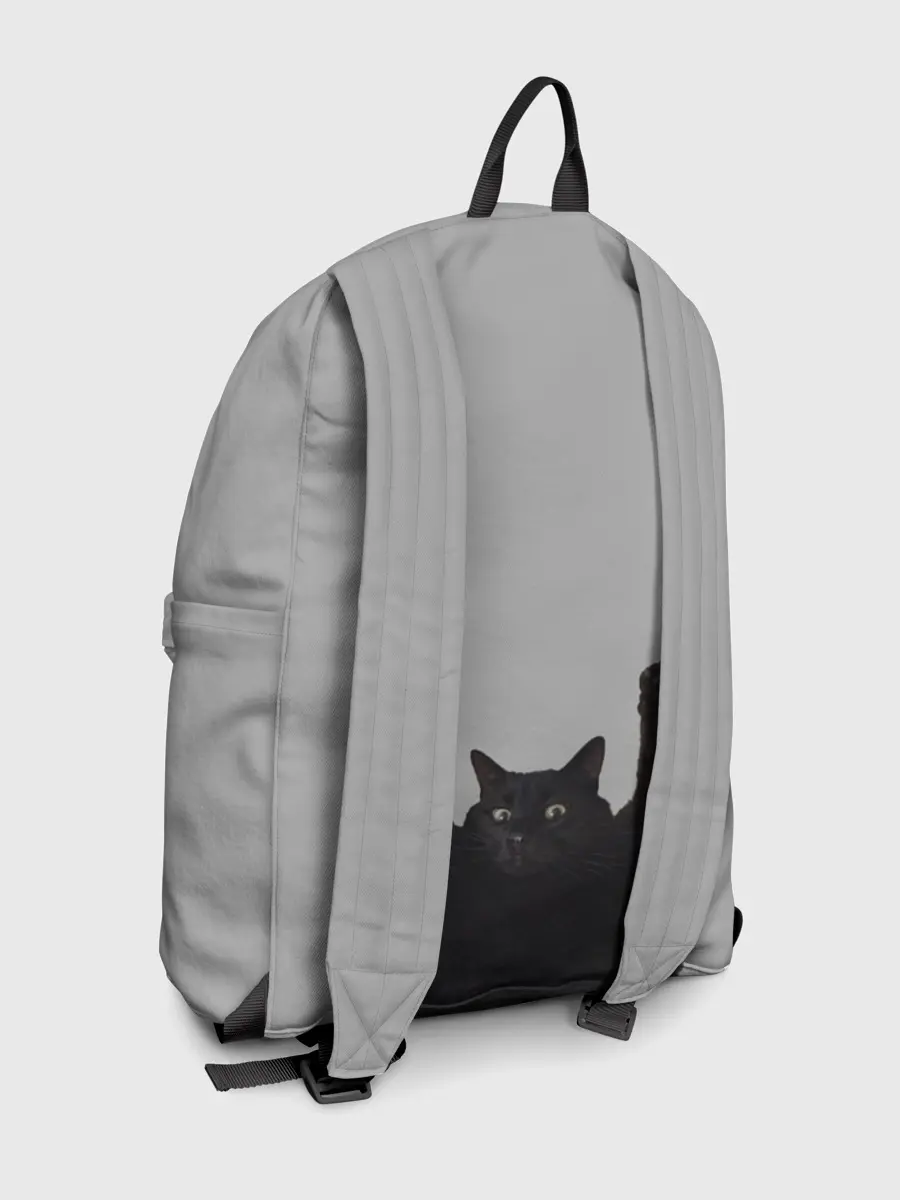 Рюкзак джинсовый / Кот сдается