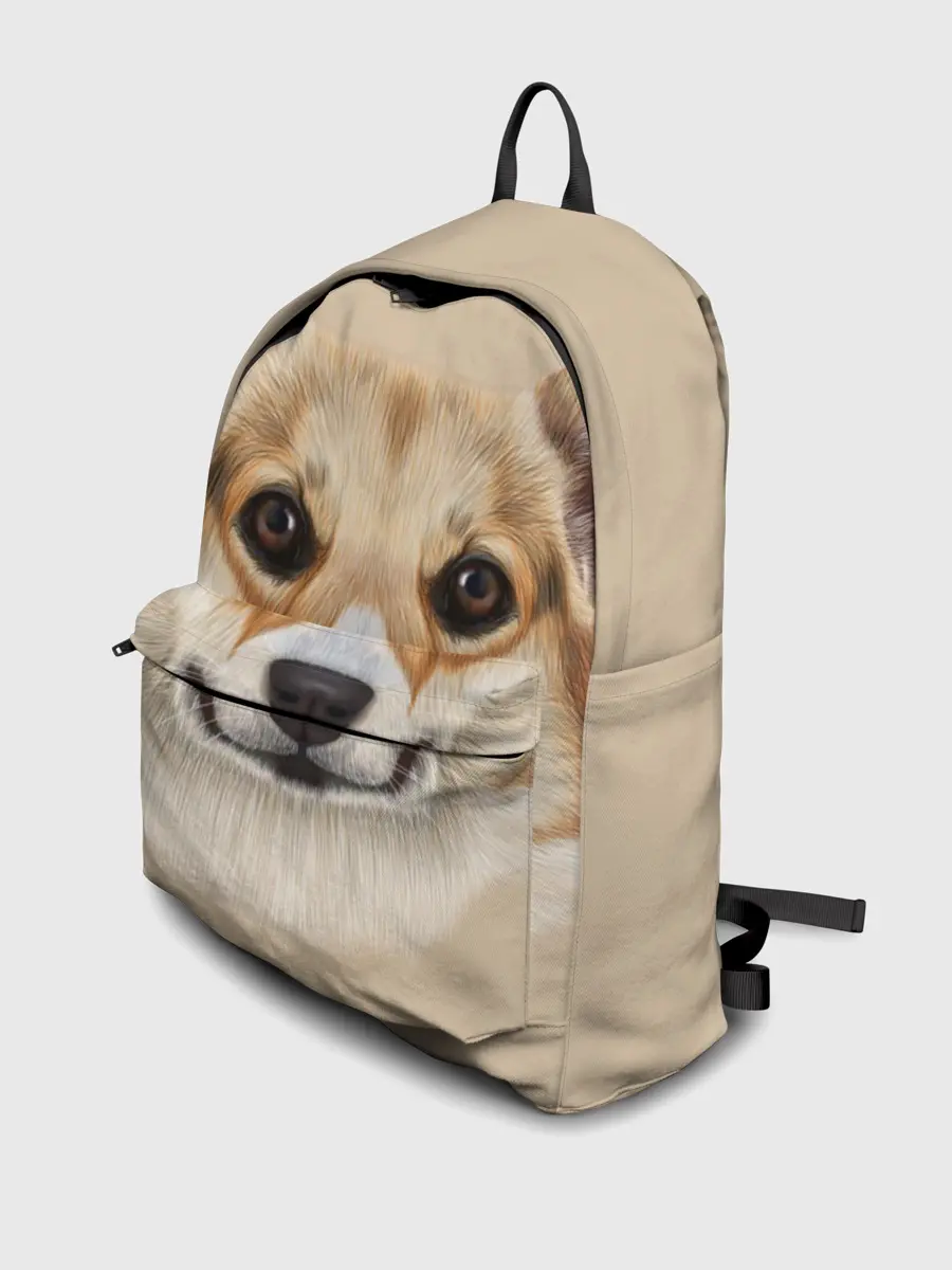 Рюкзак джинсовый / Pembroke