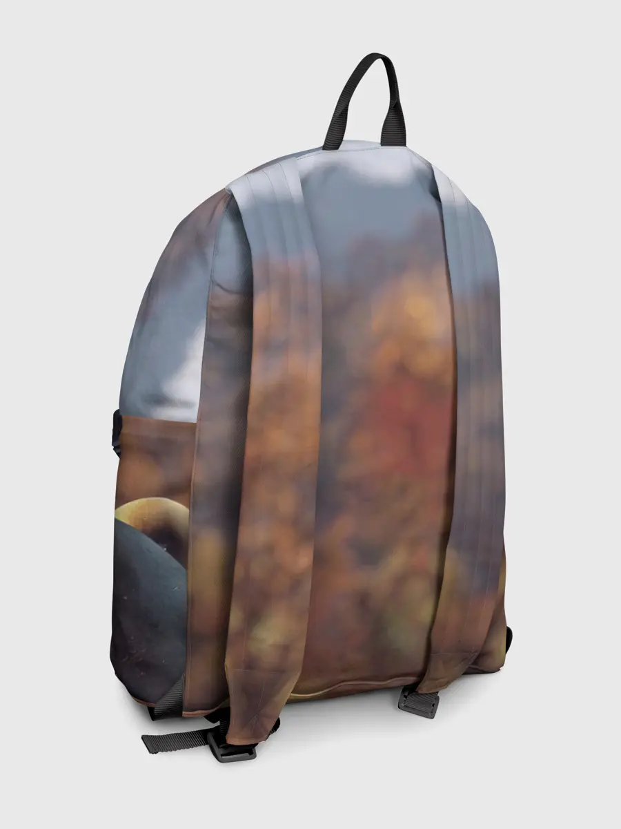 Рюкзак джинсовый / Fallout 76