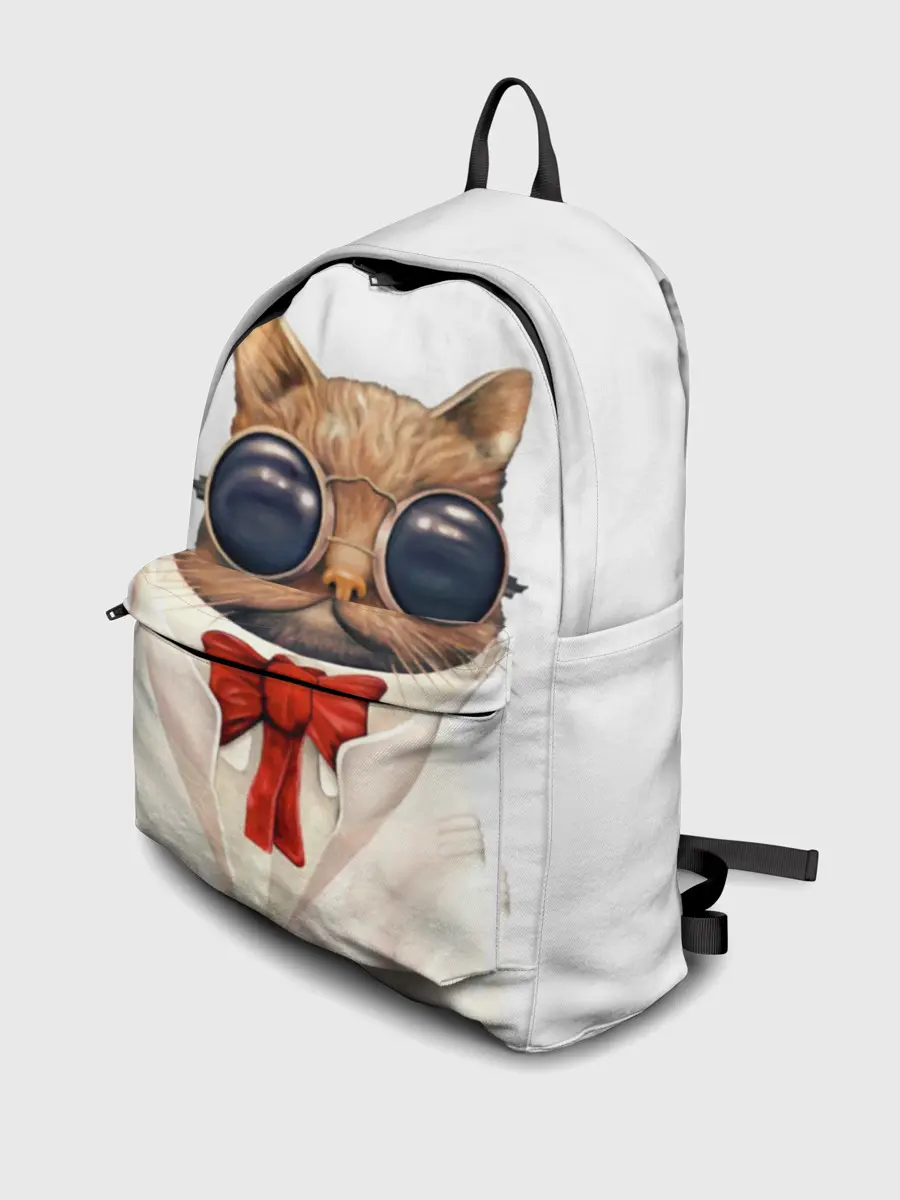 Рюкзак джинсовый / Кот