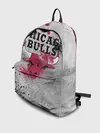 Рюкзак джинсовый / CHICAGO BULLS [8]