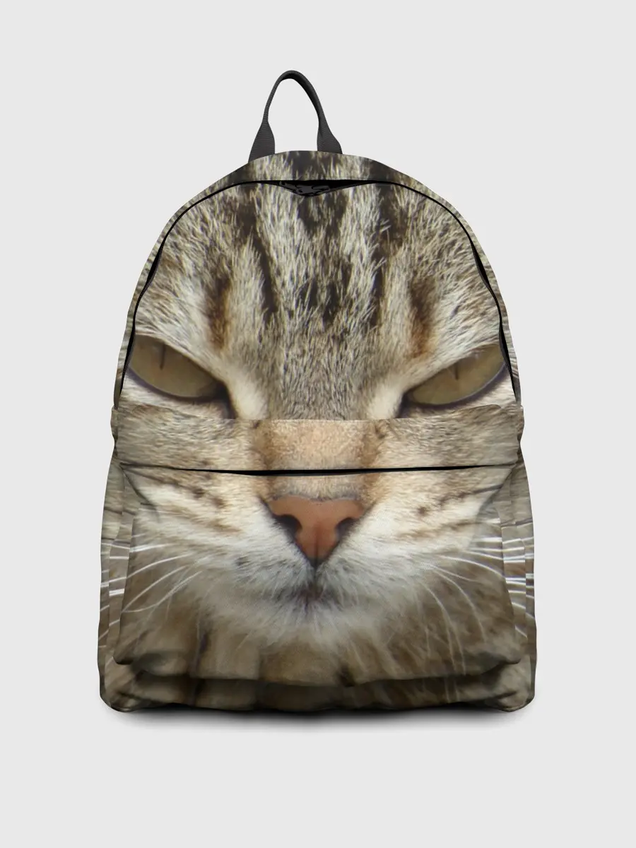 Рюкзак джинсовый / Кот