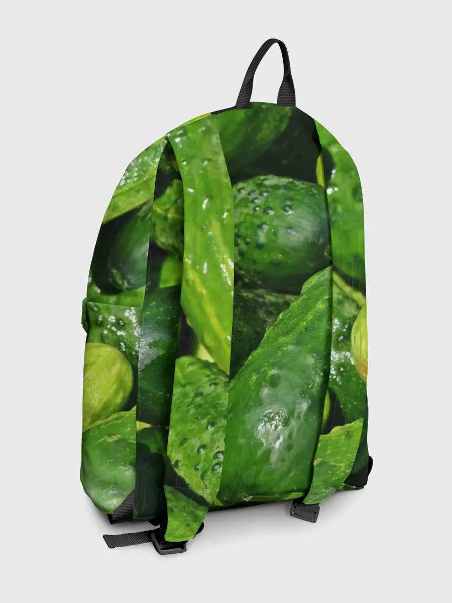 Рюкзак джинсовый / Огурцы