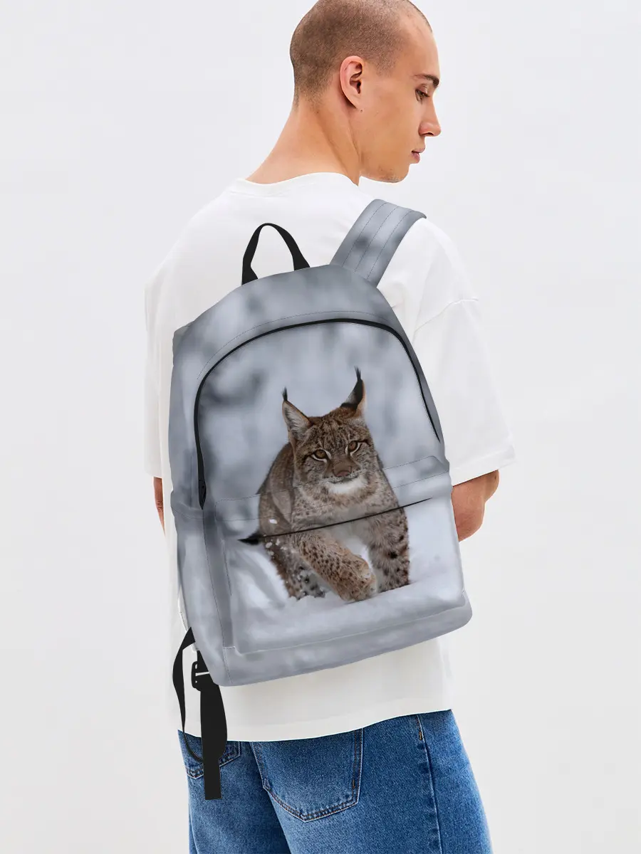 Рюкзак джинсовый / Рысь