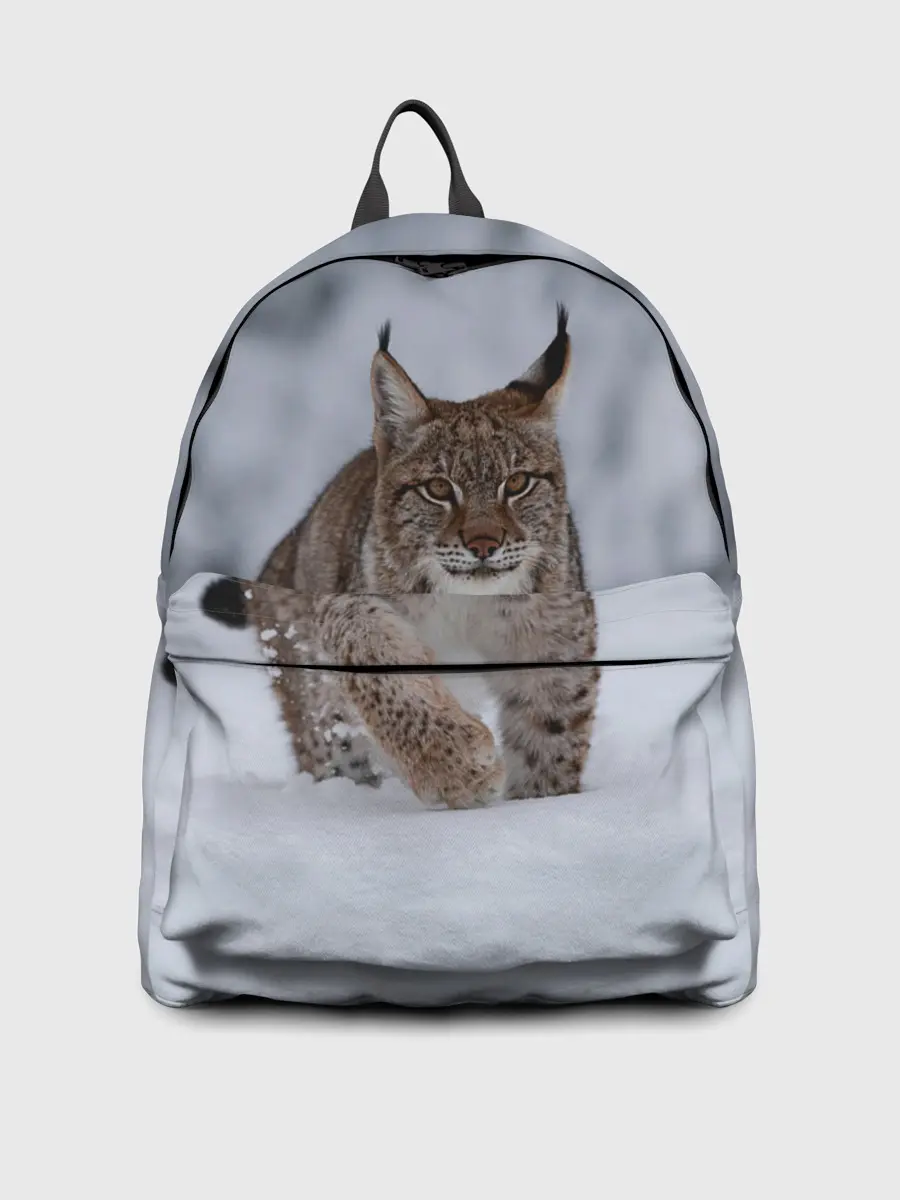 Рюкзак джинсовый / Рысь