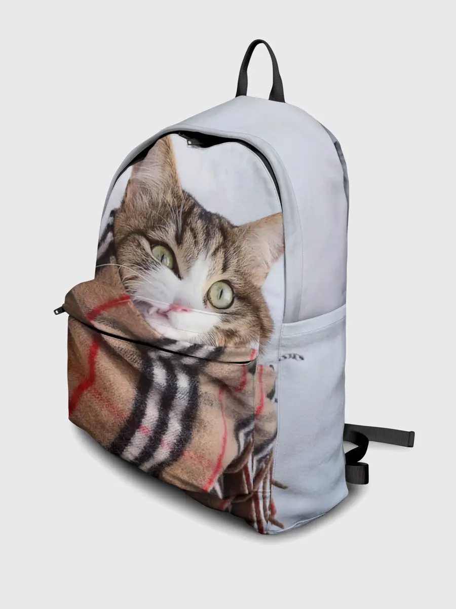 Рюкзак джинсовый / Кот в шарфе