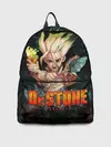 Рюкзак джинсовый / Doctor Stone | Доктор Стоун