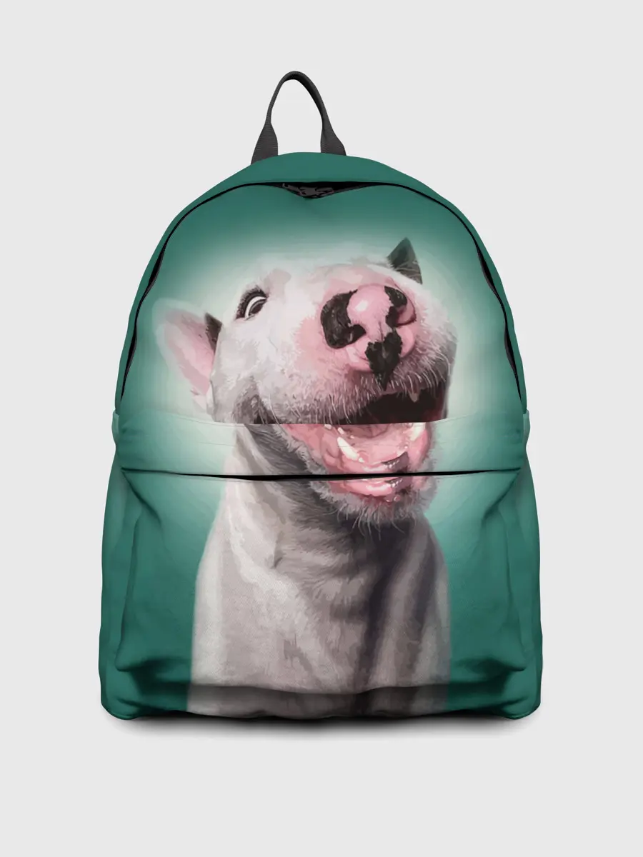 Рюкзак джинсовый / Bully