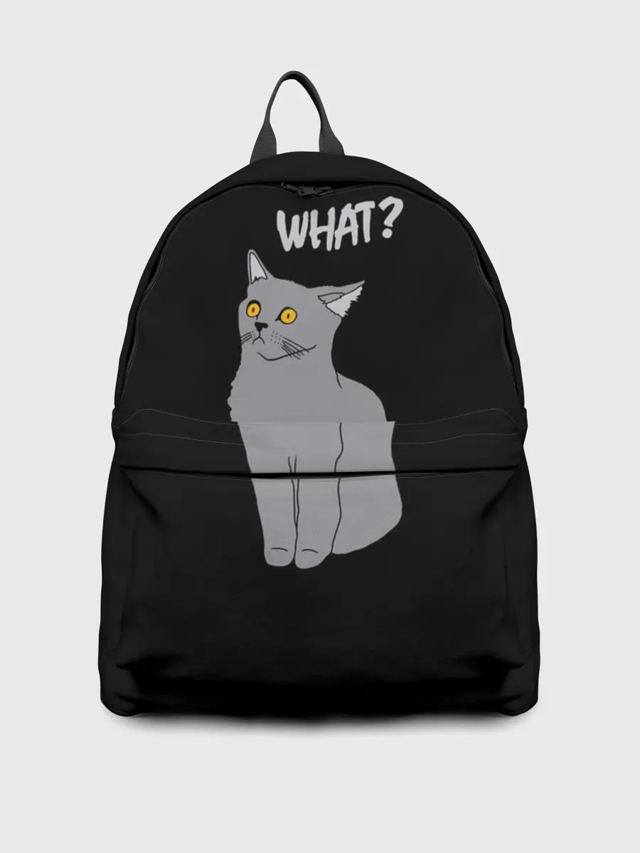 Рюкзак джинсовый / What cat