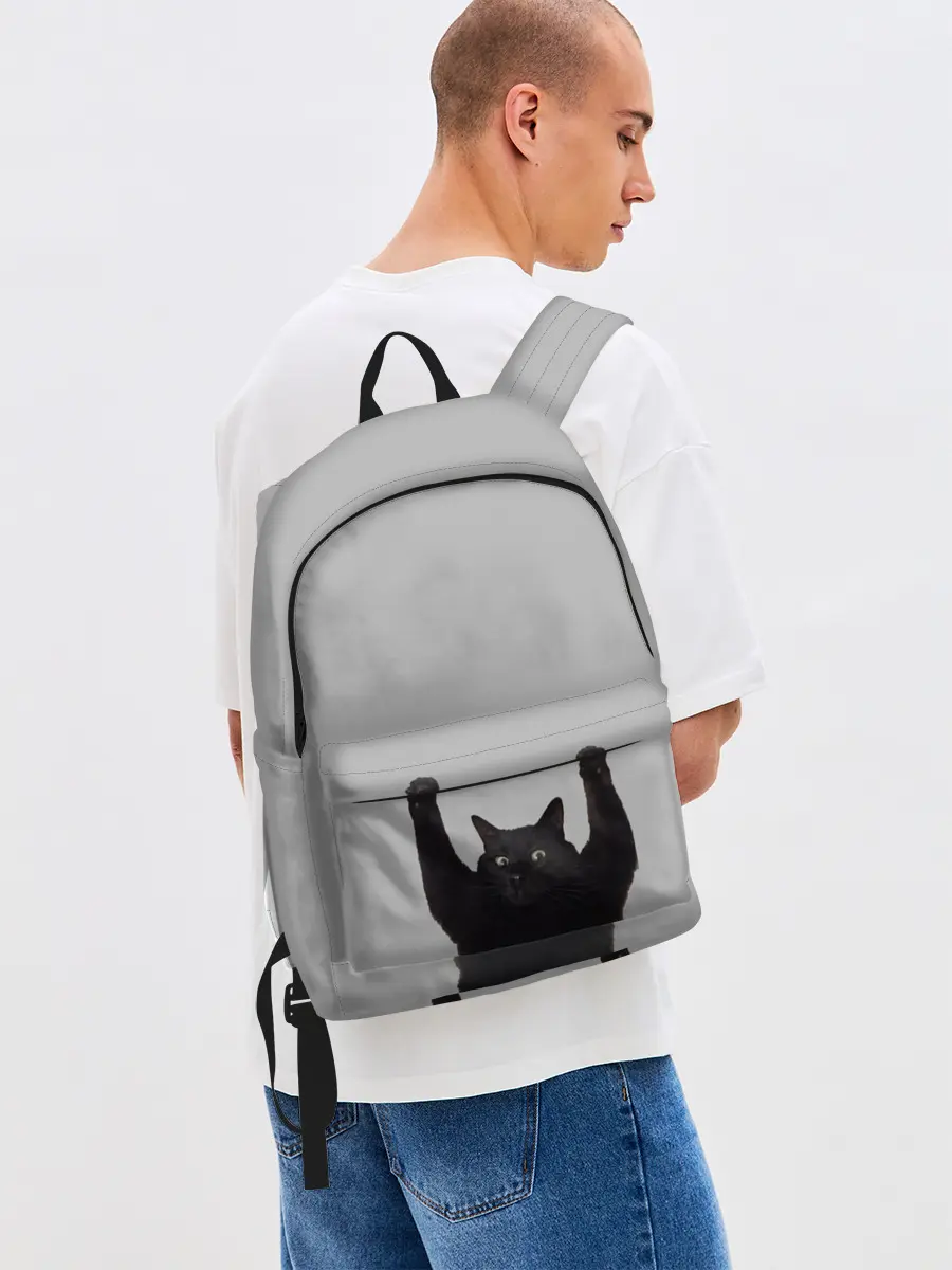 Рюкзак джинсовый / Кот сдается