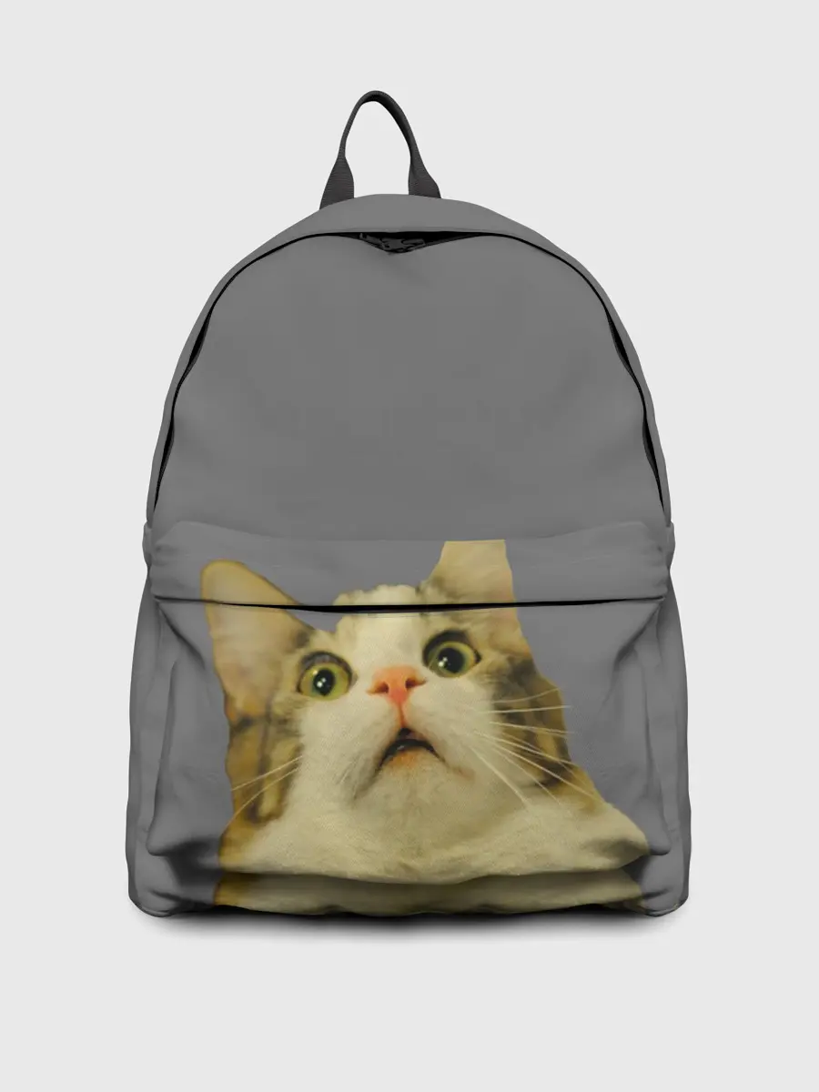 Рюкзак джинсовый / Коте смотрит вверх