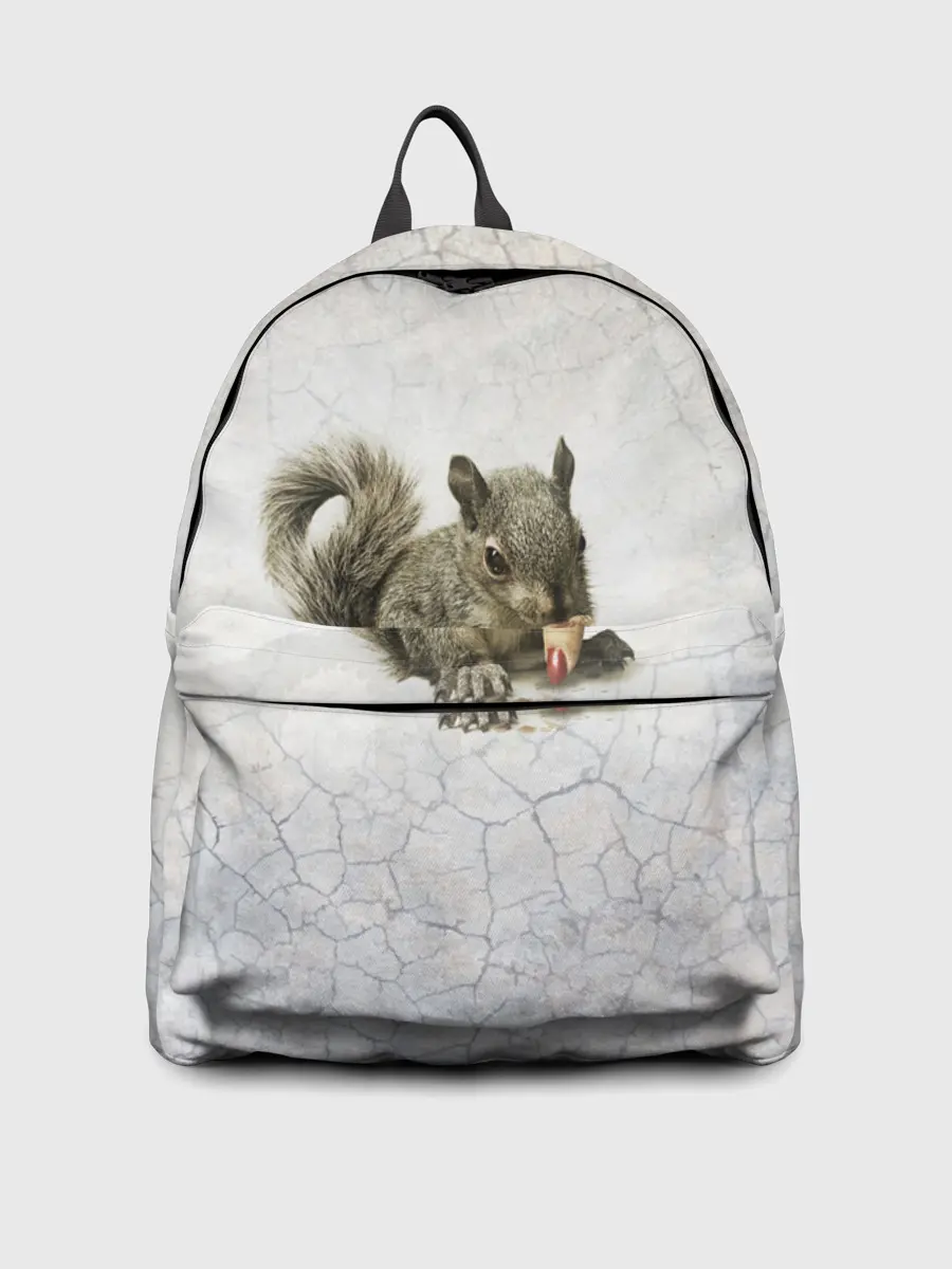 Рюкзак джинсовый / Белки