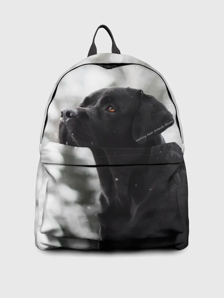 Рюкзак джинсовый / Лабрадор Марк