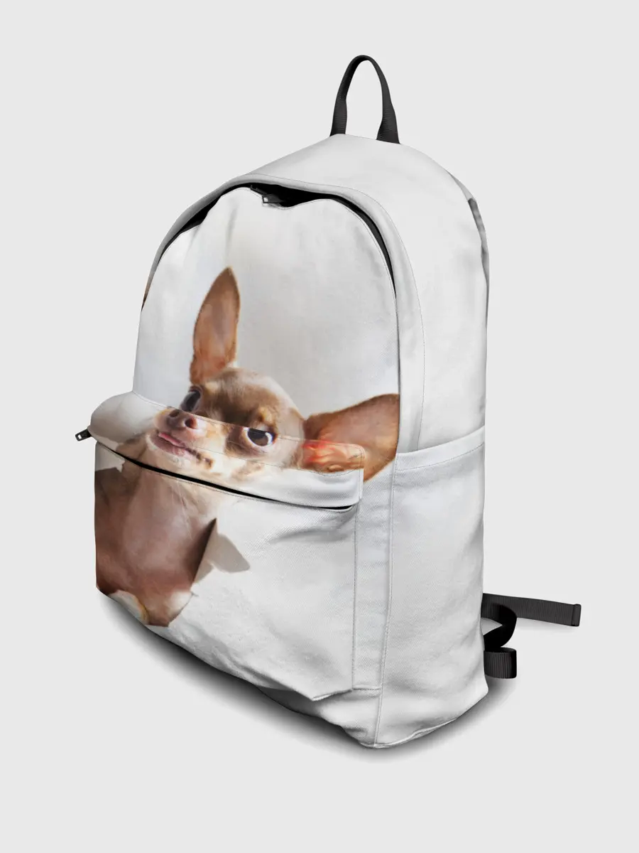 Рюкзак джинсовый / Чихуахуа из бумаги вылазит