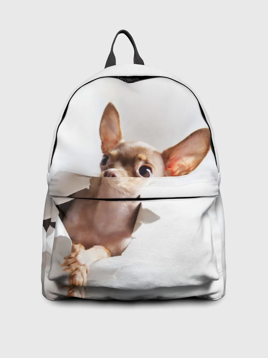 Рюкзак джинсовый / Чихуахуа из бумаги вылазит