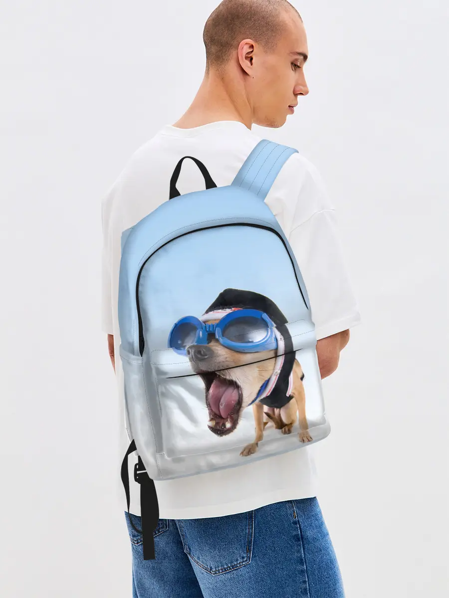 Рюкзак джинсовый / собака в очках