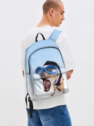 Рюкзак джинсовый / собака в очках