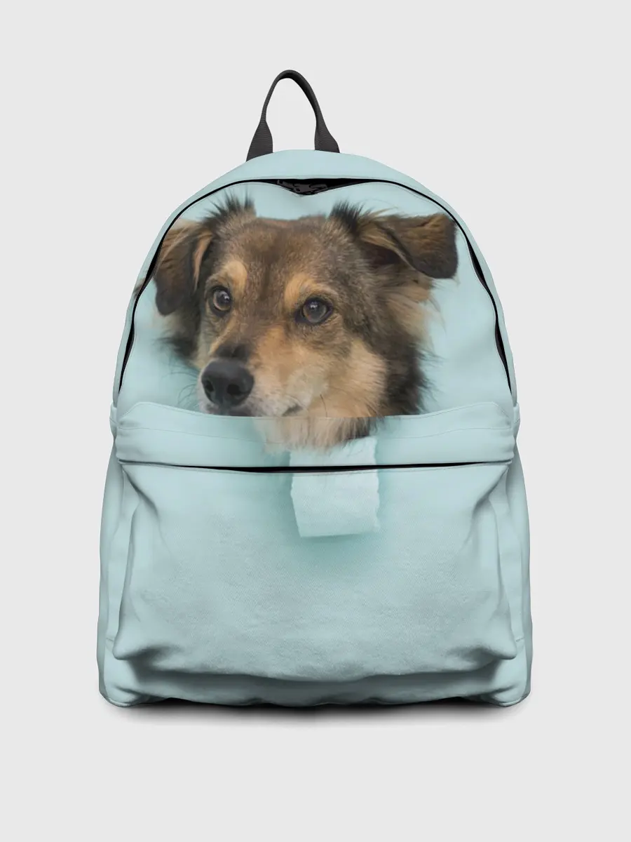 Рюкзак джинсовый / Беспородная Собака дворняга / A Dog