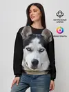 Женский свитшот / Хаски