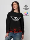 Женский свитшот / Aerosmith