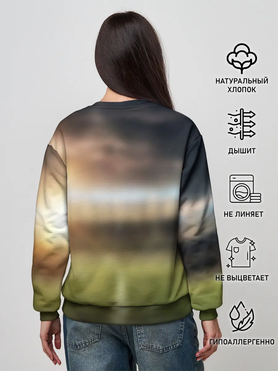 Женский свитшот / Чемпионы