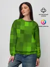 Женский свитшот / Minecraft
