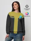 Женский свитшот / TrdDBH, detroit, become human,
