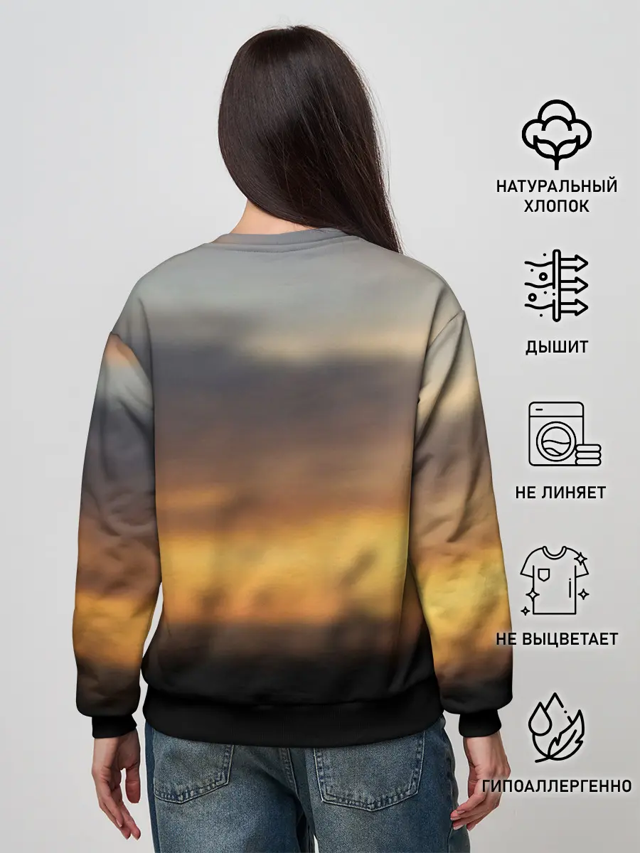 Женский свитшот / Бамблби и Чарли на закате