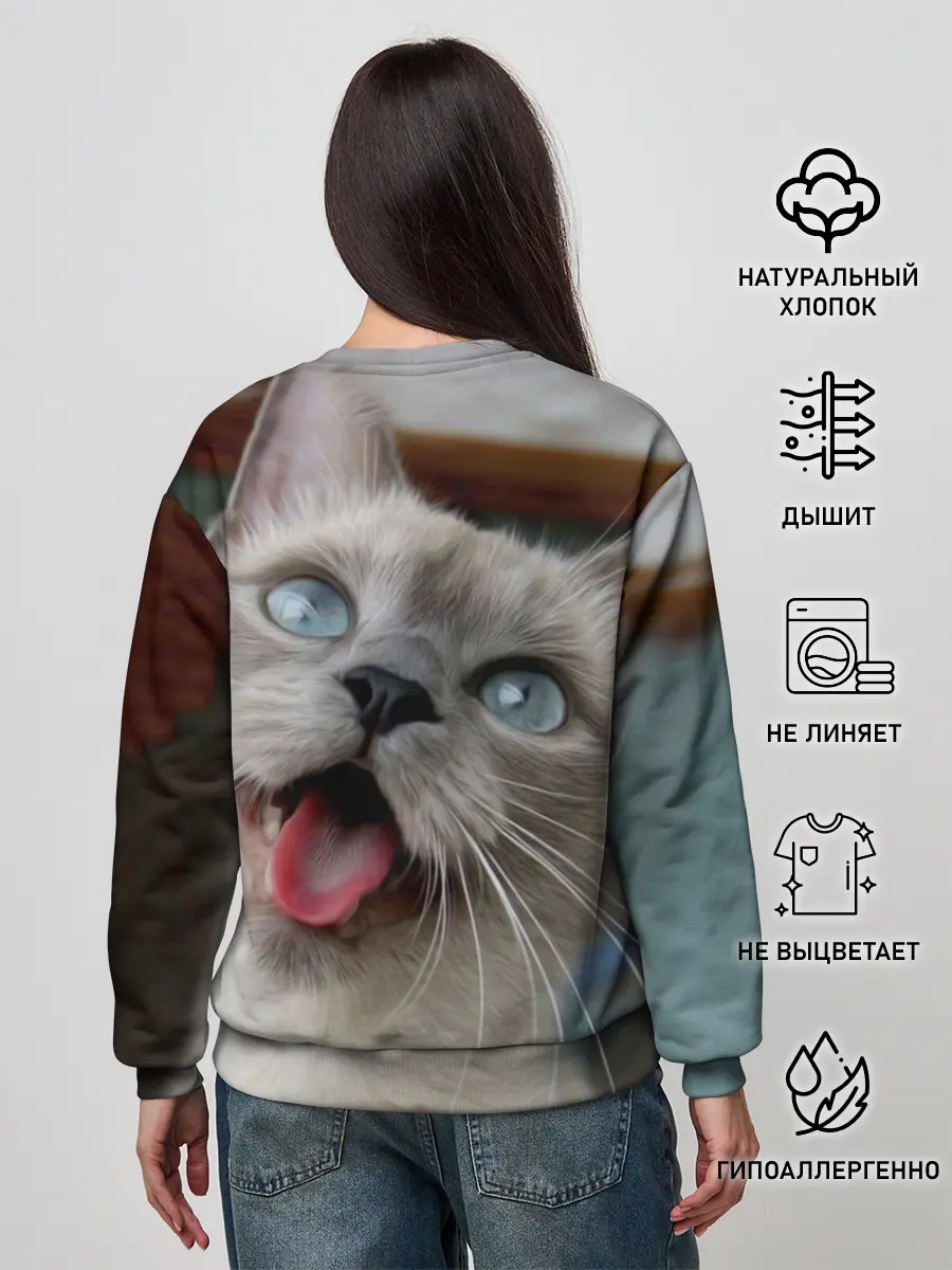 Женский свитшот / Сиамский котенок