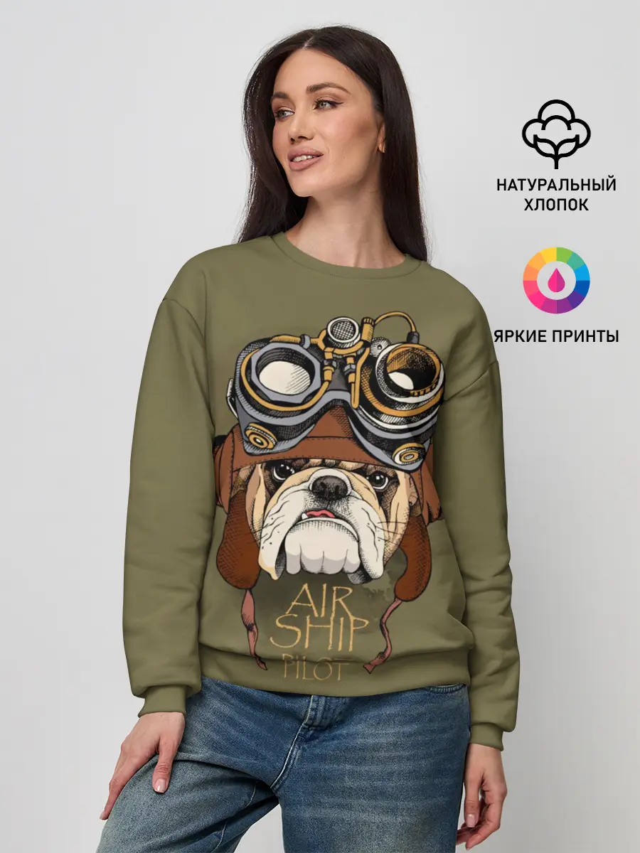 Женский свитшот / Air ship pilot