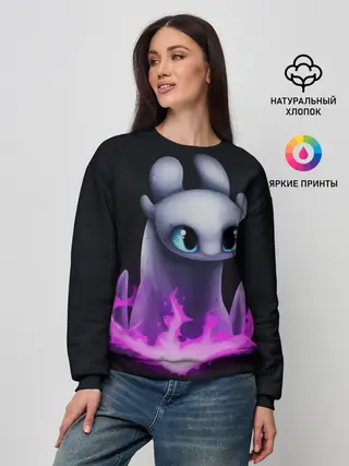 Женский свитшот / Как приручить дракона