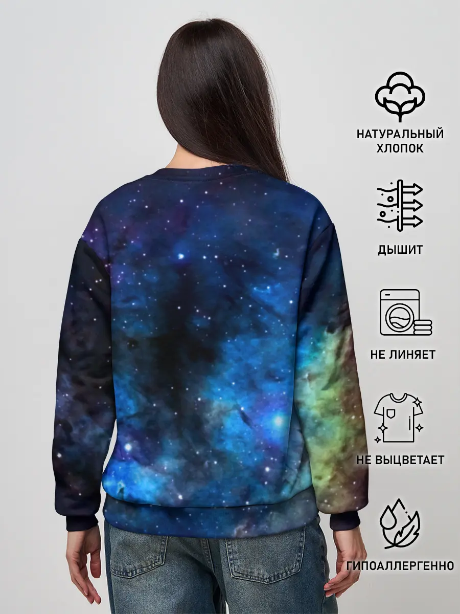 Женский свитшот / ночная фурия