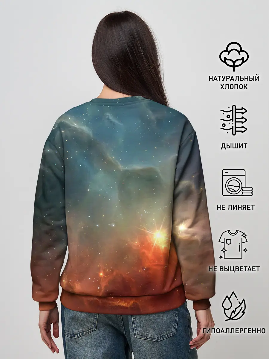 Женский свитшот / ночная фурия