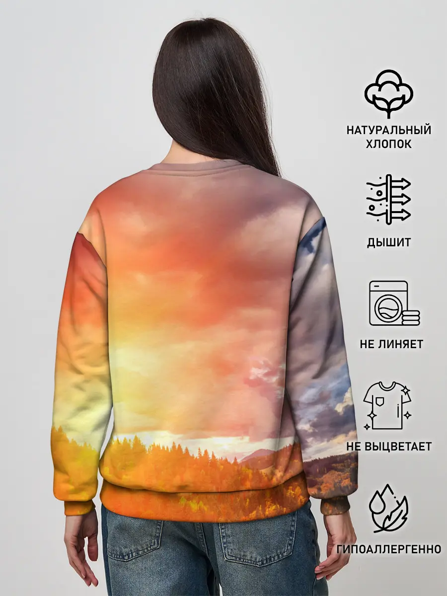 Женский свитшот / Night Fury