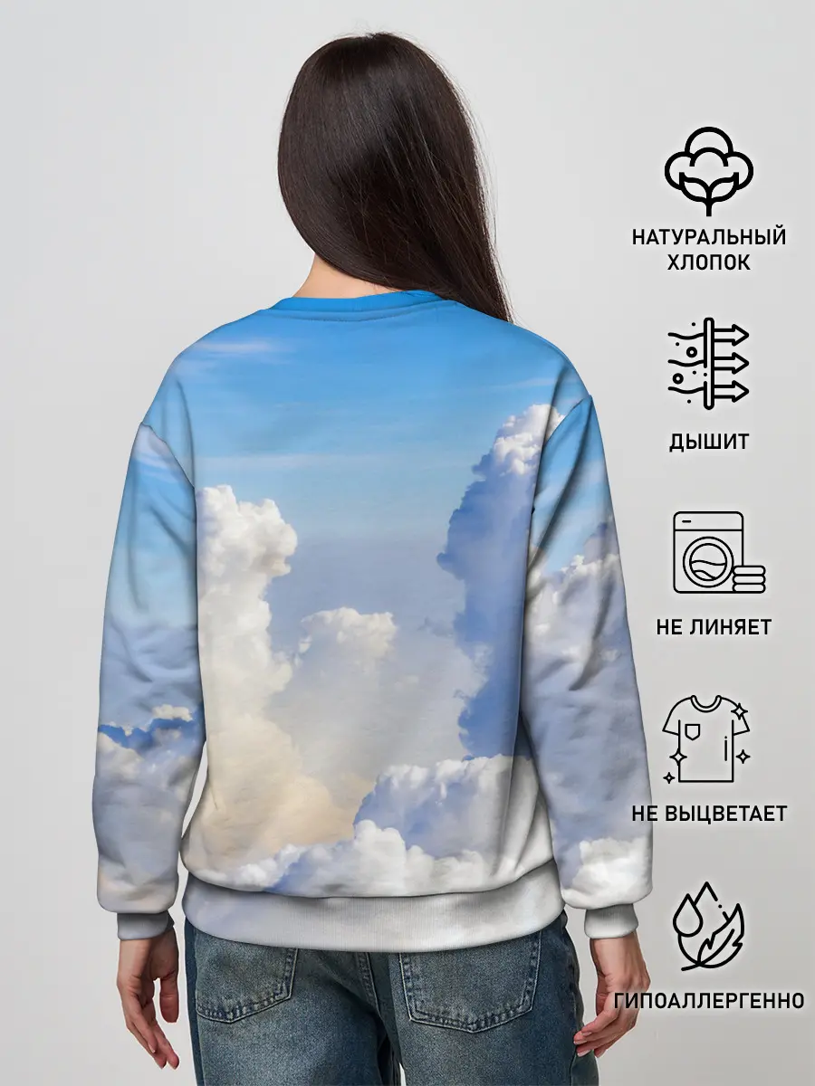 Женский свитшот / Night Fury