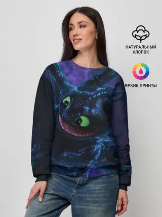 Женский свитшот / Как приручить дракона