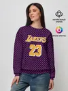 Женский свитшот / Lebron James