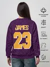 Женский свитшот / Lebron James